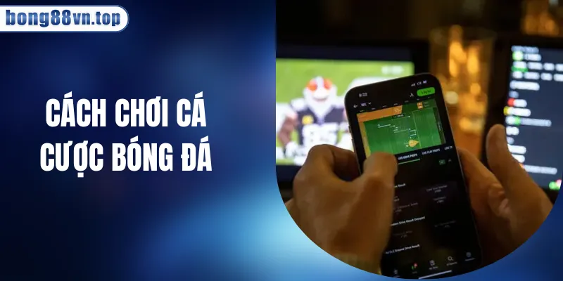 Cách Chơi Cá Cược Bóng Đá Dễ Hiểu Nhất Mùa Giải 2026