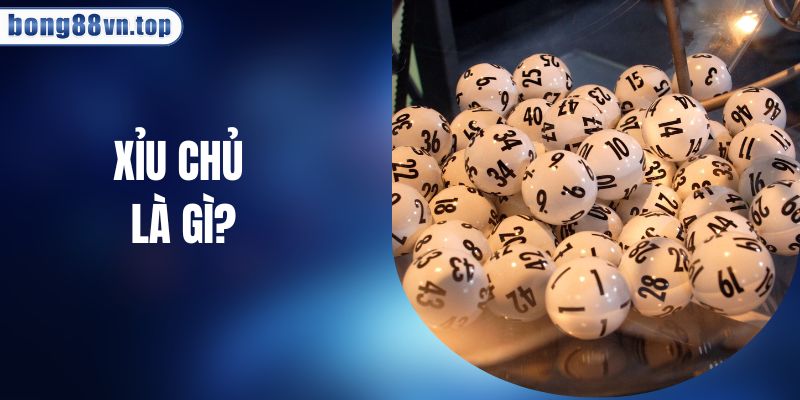Xỉu Chủ Là Gì? Bí Kíp Tính Xỉu Chủ Ăn Bao Nhiêu Tiền?